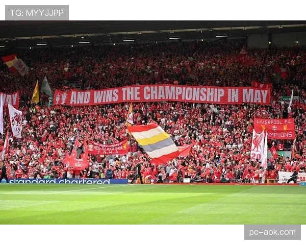 球迷行为规范更新,英超加强场内管理 球迷行为规范更新,英超加强场内管理