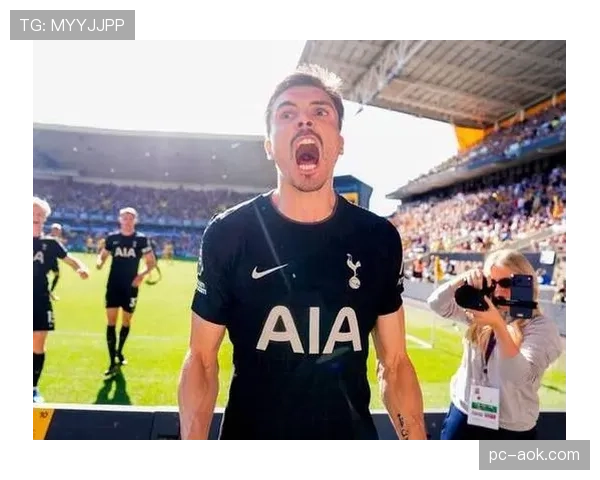 热刺惊险屠狼，帕利尼亚希望赢波改变一切